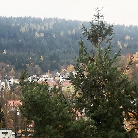Irysek Leilighet Lądek-Zdrój Eksteriør bilde